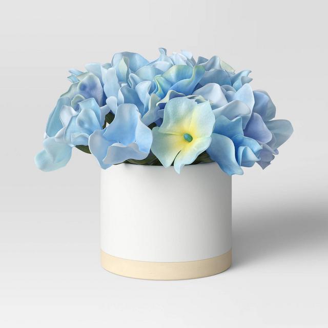 Blue Hydrangea Color Story - Threshold™