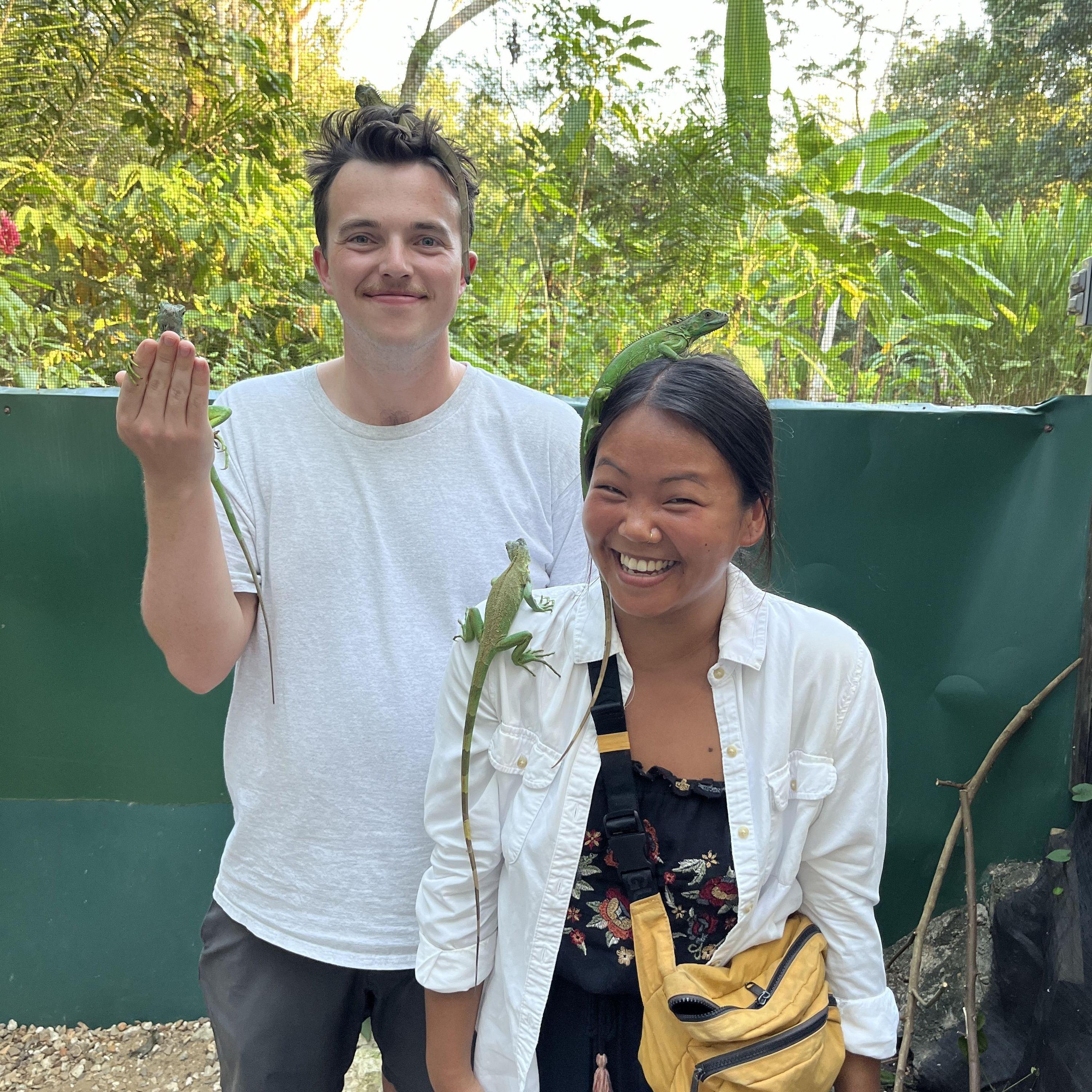 March 2024 | Green Iguana Conservation Project in San Ignacio, Belize.