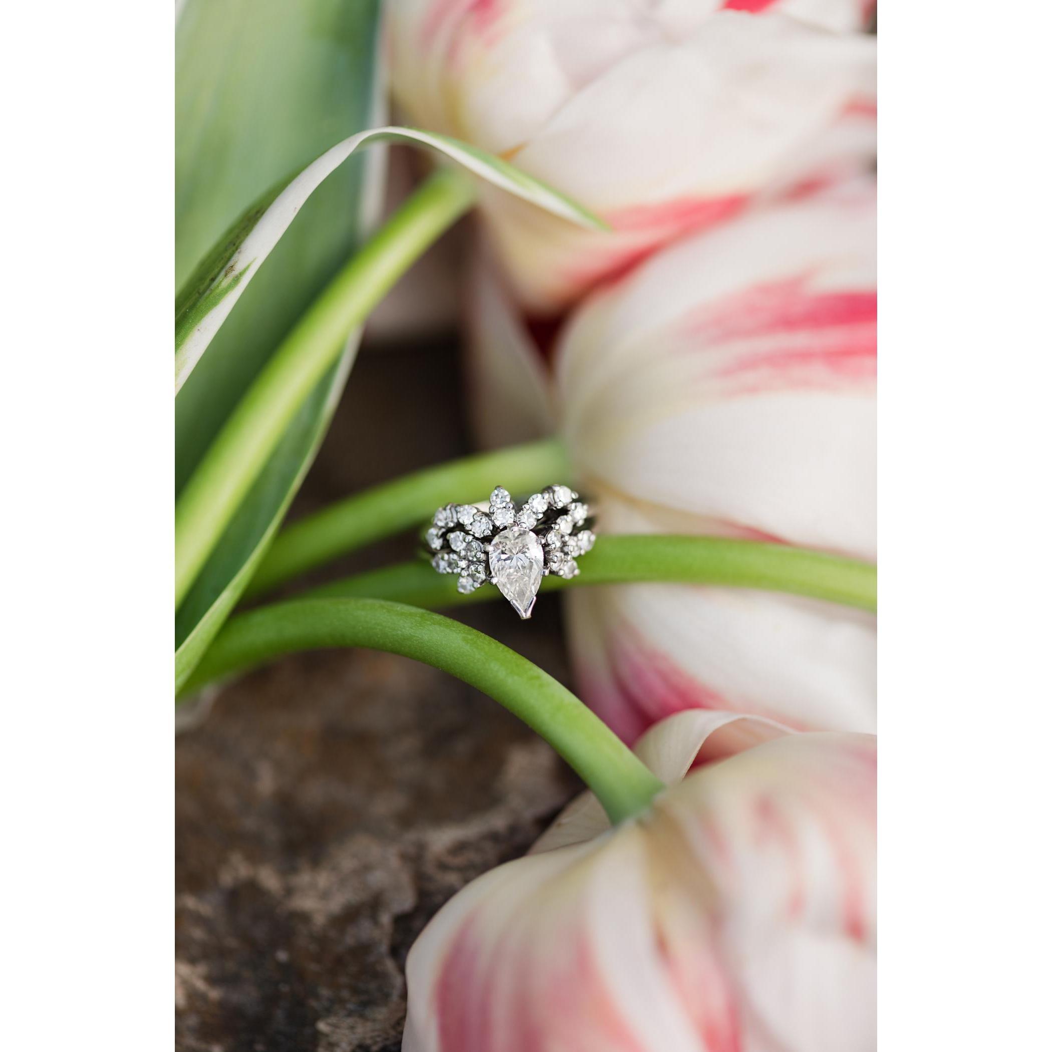 Meredith Ryncarz photography