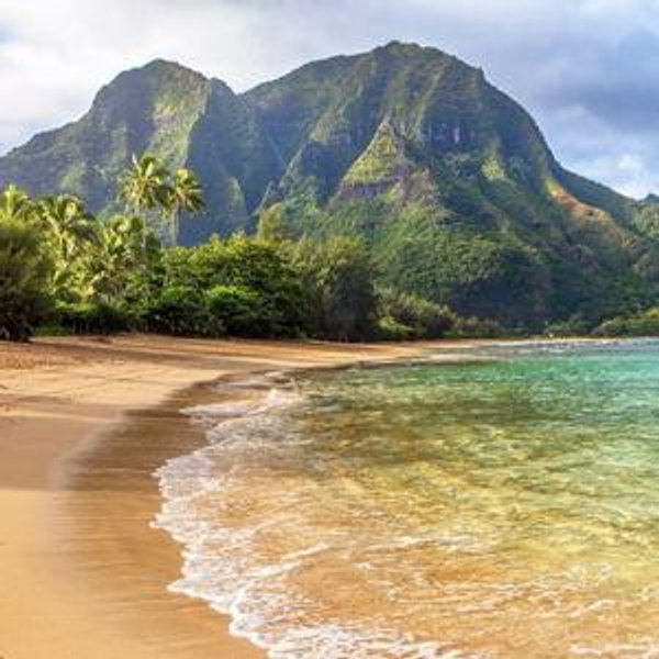 Our Hawaii Honeymoon Fund!