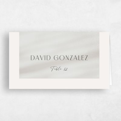 Light Oatmeal, White Wedding Place Card - Pinellas
