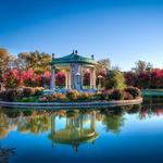 Forest Park