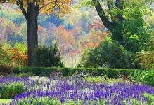 New Jersey Botanical Garden