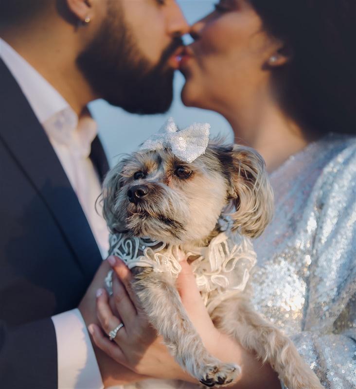 The Wedding Website of Alexis Villalobos and Dallas Gutierrez