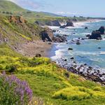 Hike the Sonoma Coast