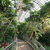 Krohn Conservatory