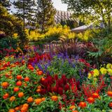 Denver Botanic Gardens