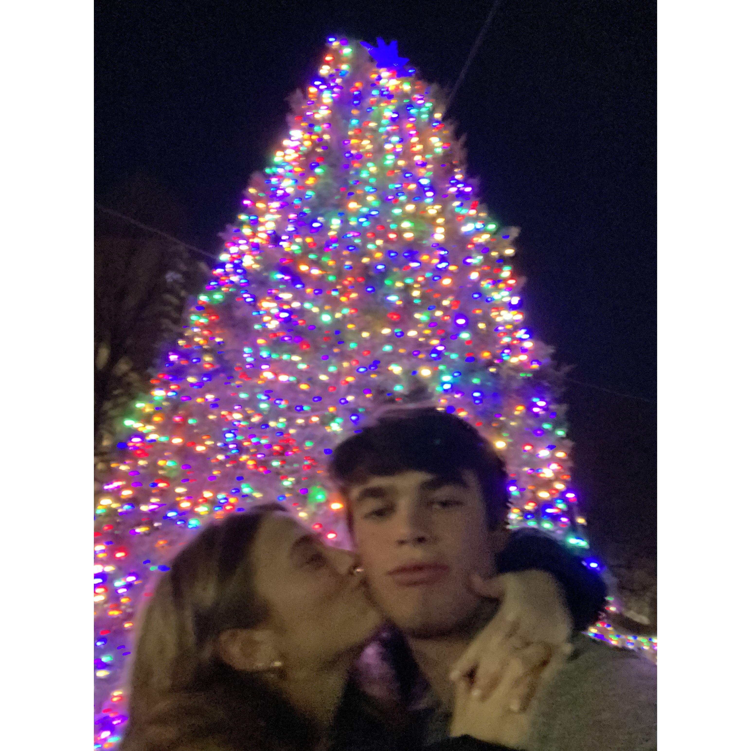 Christmas Lights!