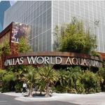 The Dallas World Aquarium