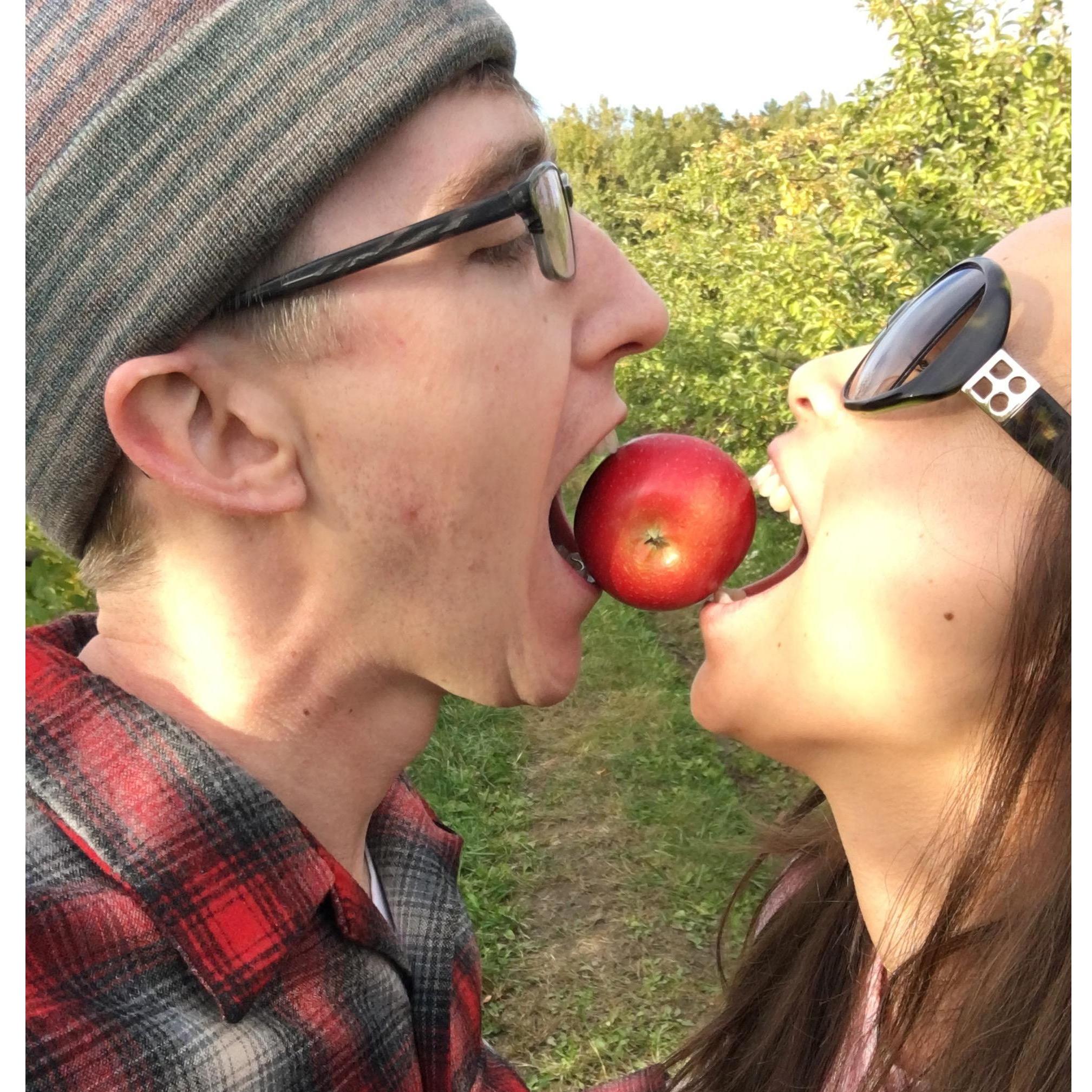 New England apple picking!