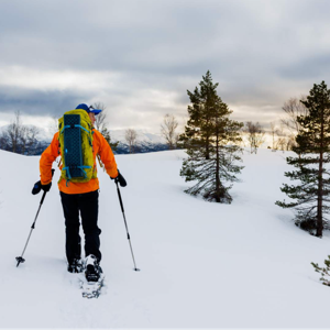 Snowshoe Tour