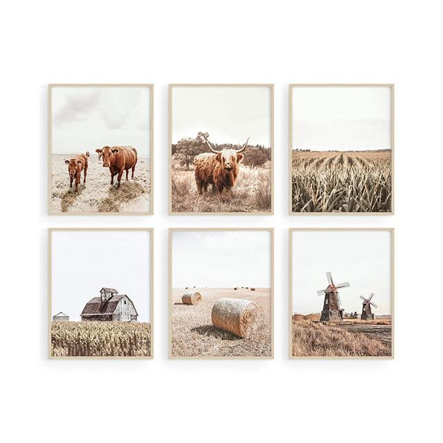 HAUS AND HUES Highland Cow Art and Farmhouse Wall Decor Cow Wall Art and Farmhouse Pictures | Cow Decor | Cow Prints Wall Art | Highland Cow Wall Art Cow Pictures Wall Decor (8" x 10" UNFRAMED)