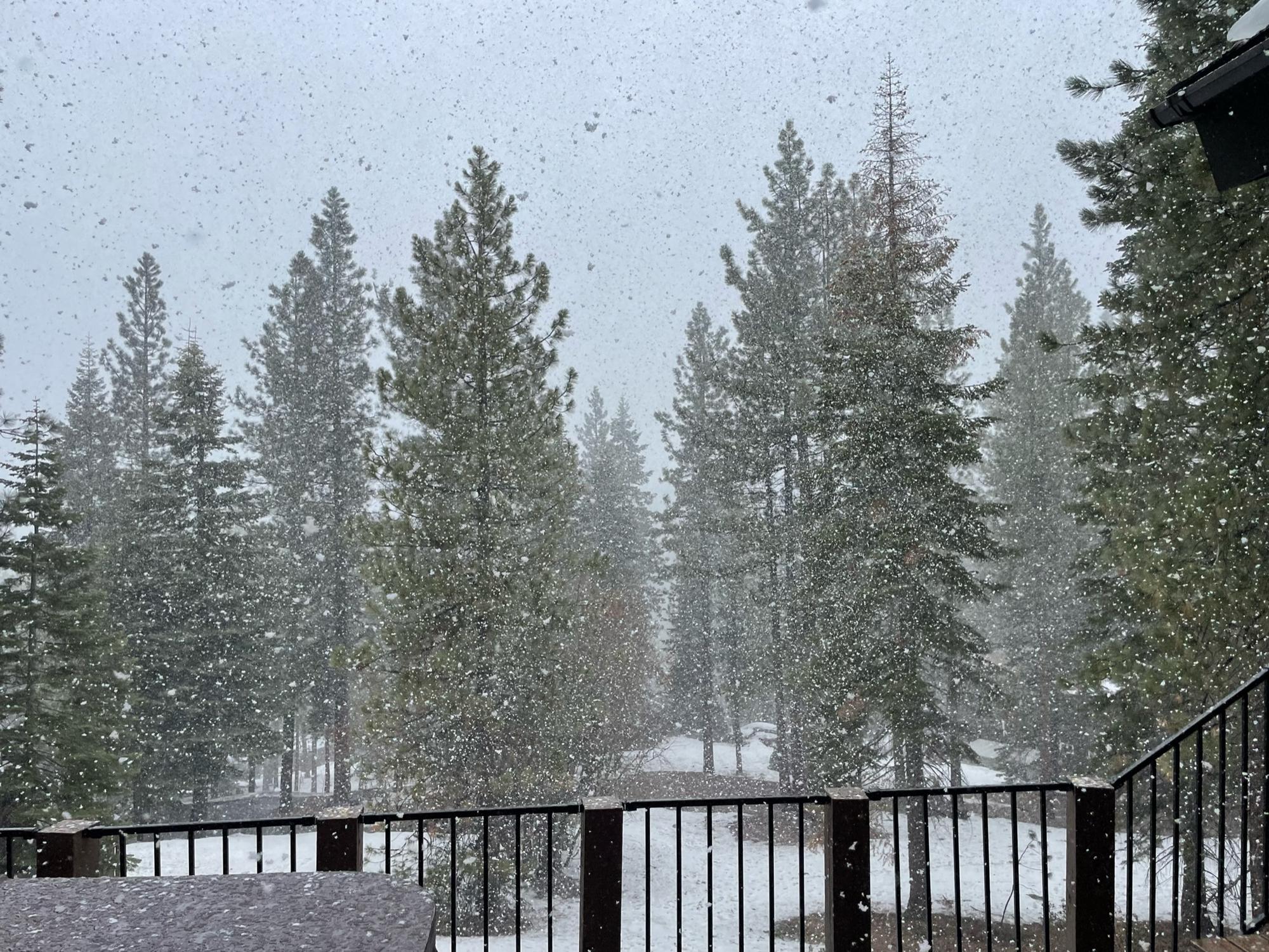 Proposal morning snow