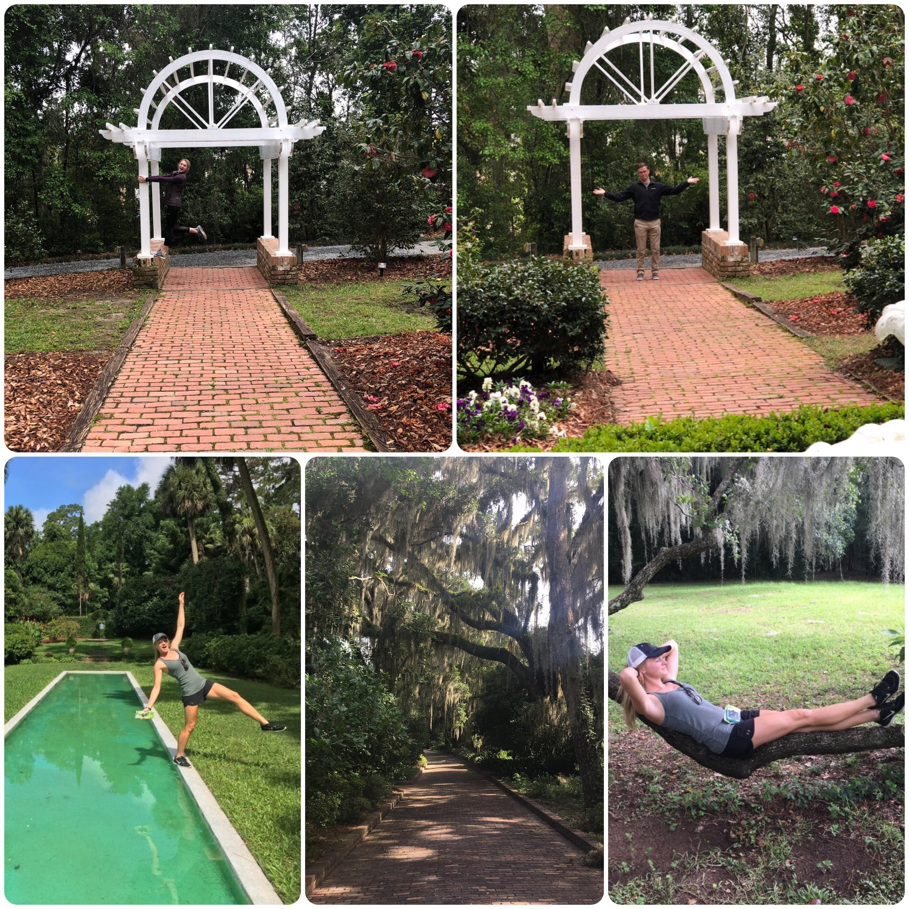 Tallahassee FL
~ 2018/2019