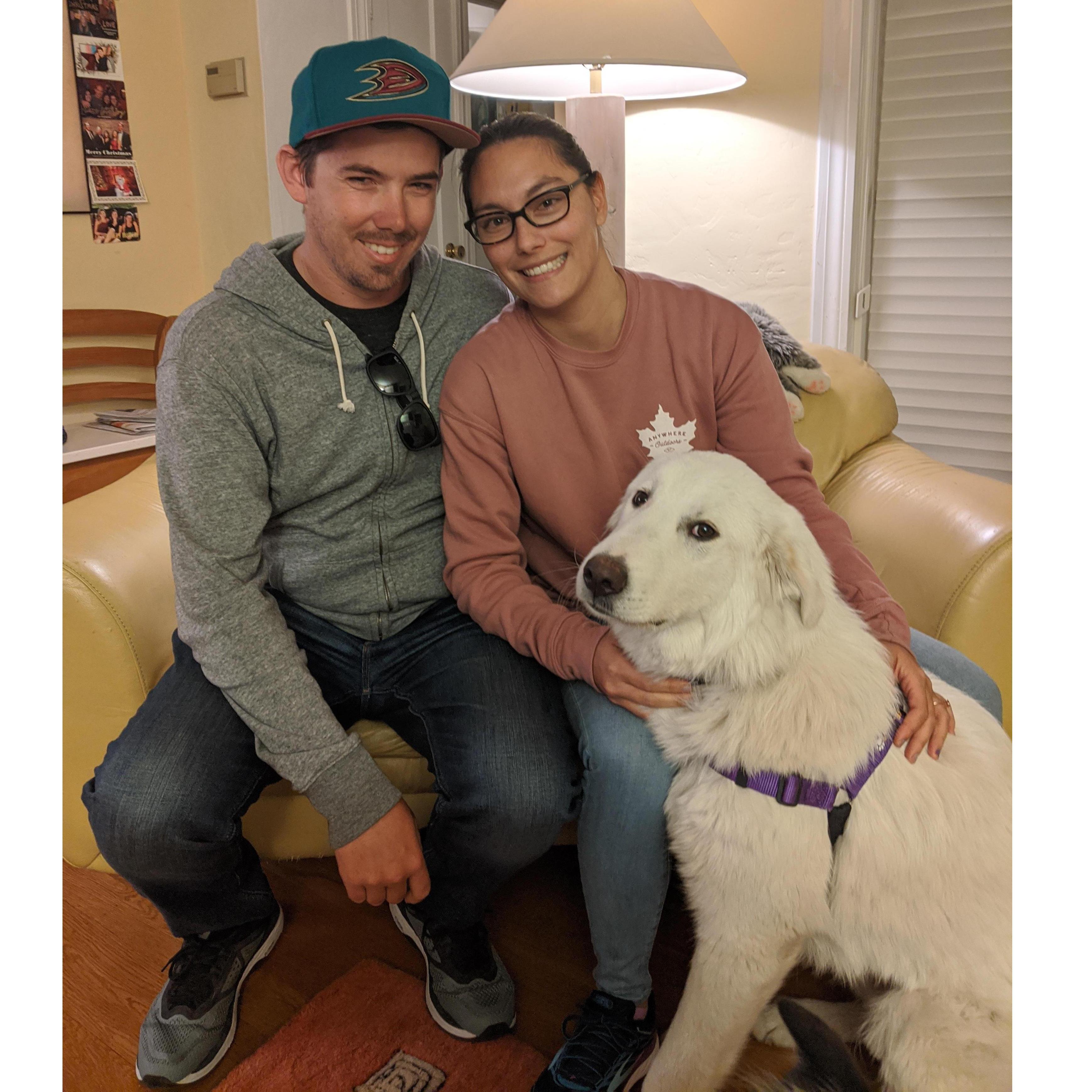 Adopting Willow - February 2020