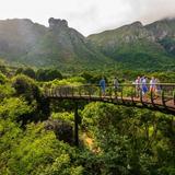 Kirstenbosch National Botanical Garden