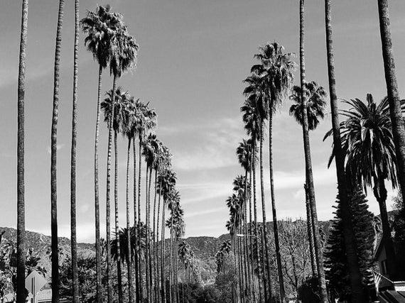 The Wedding Website of Ashley Scott and Nigel Chiddick