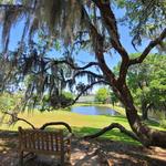 Middleton Place