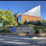 Ocean Journey - Tennessee Aquarium