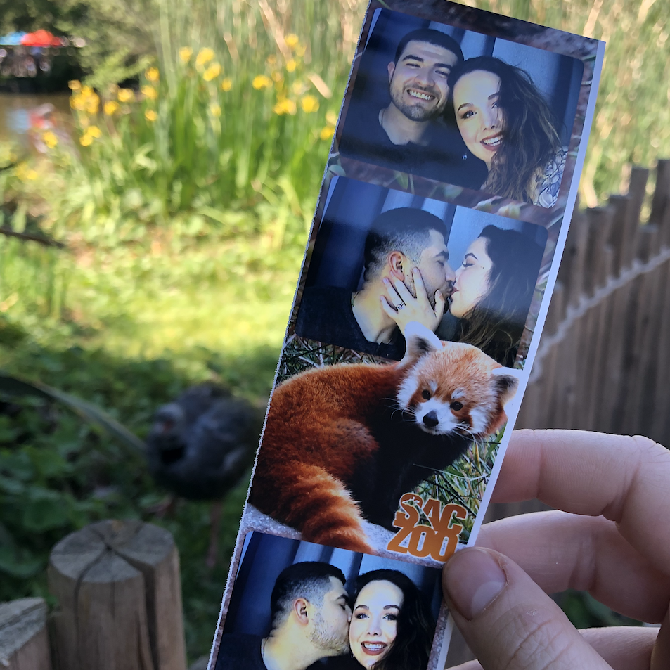 One of our favorite spots is the Sacramento zoo!