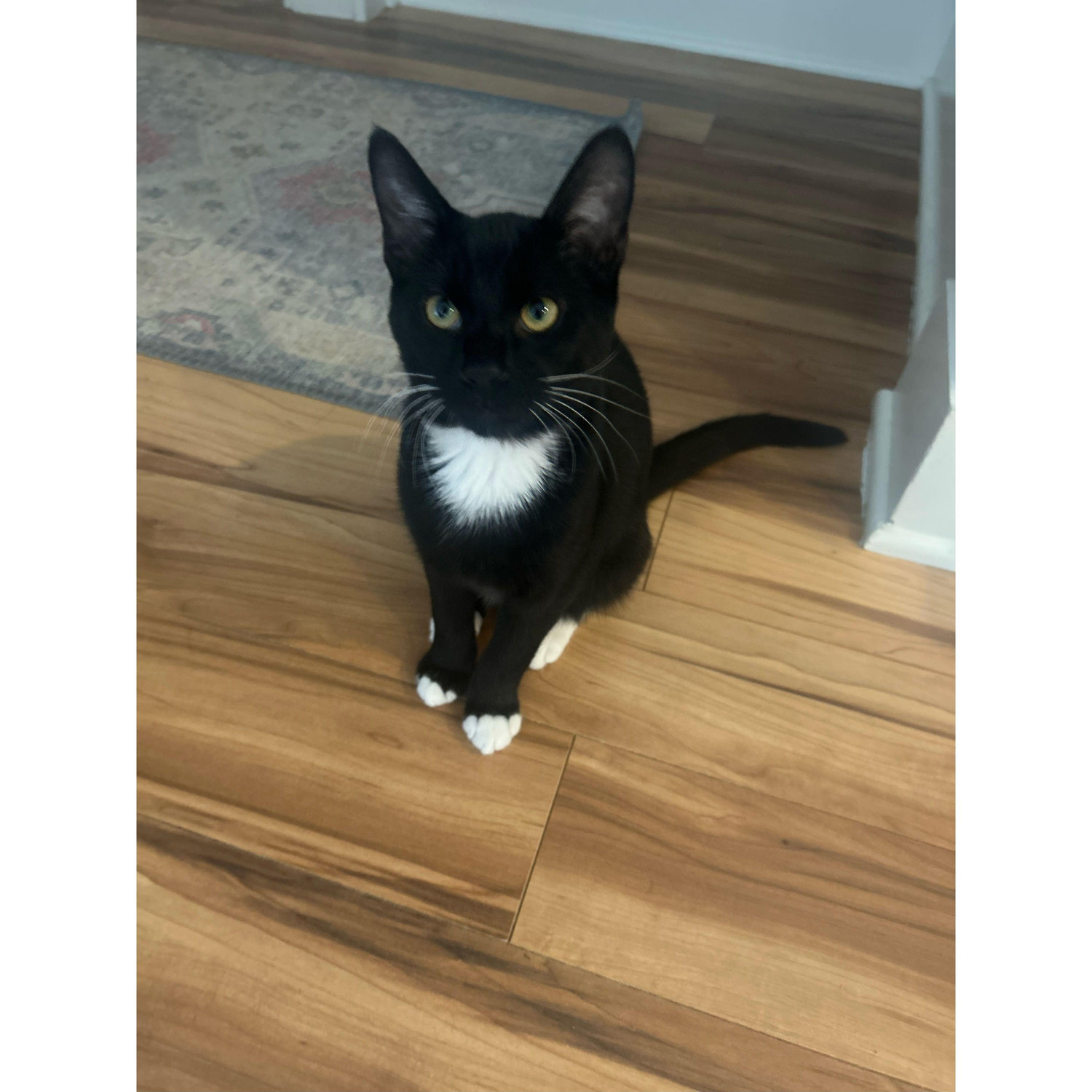 This is Bruce.