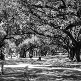 Audubon Park