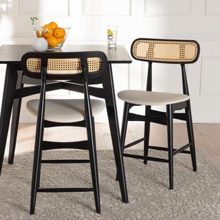 Tarana Mid-Century Modern Counter Stool, Set of 2