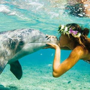 Swimming with the dolphins