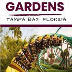 Busch Gardens Tampa Bay