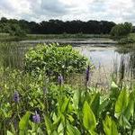 Gallant Woods Park