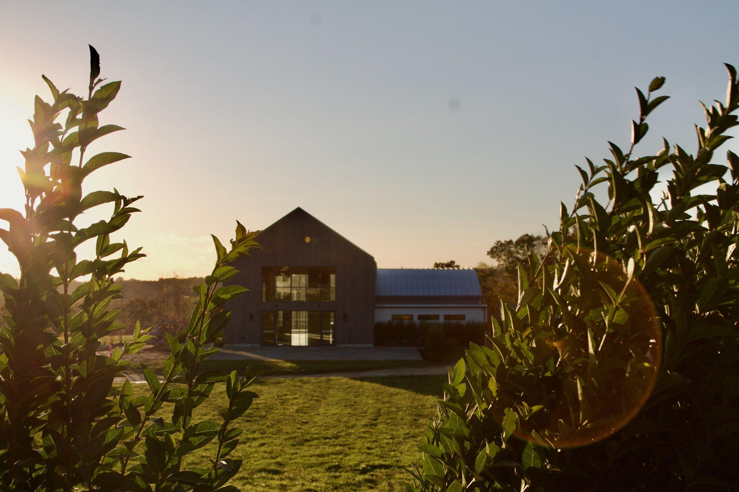 The Wedding Website of Nikki Narducci and Erik Helm
