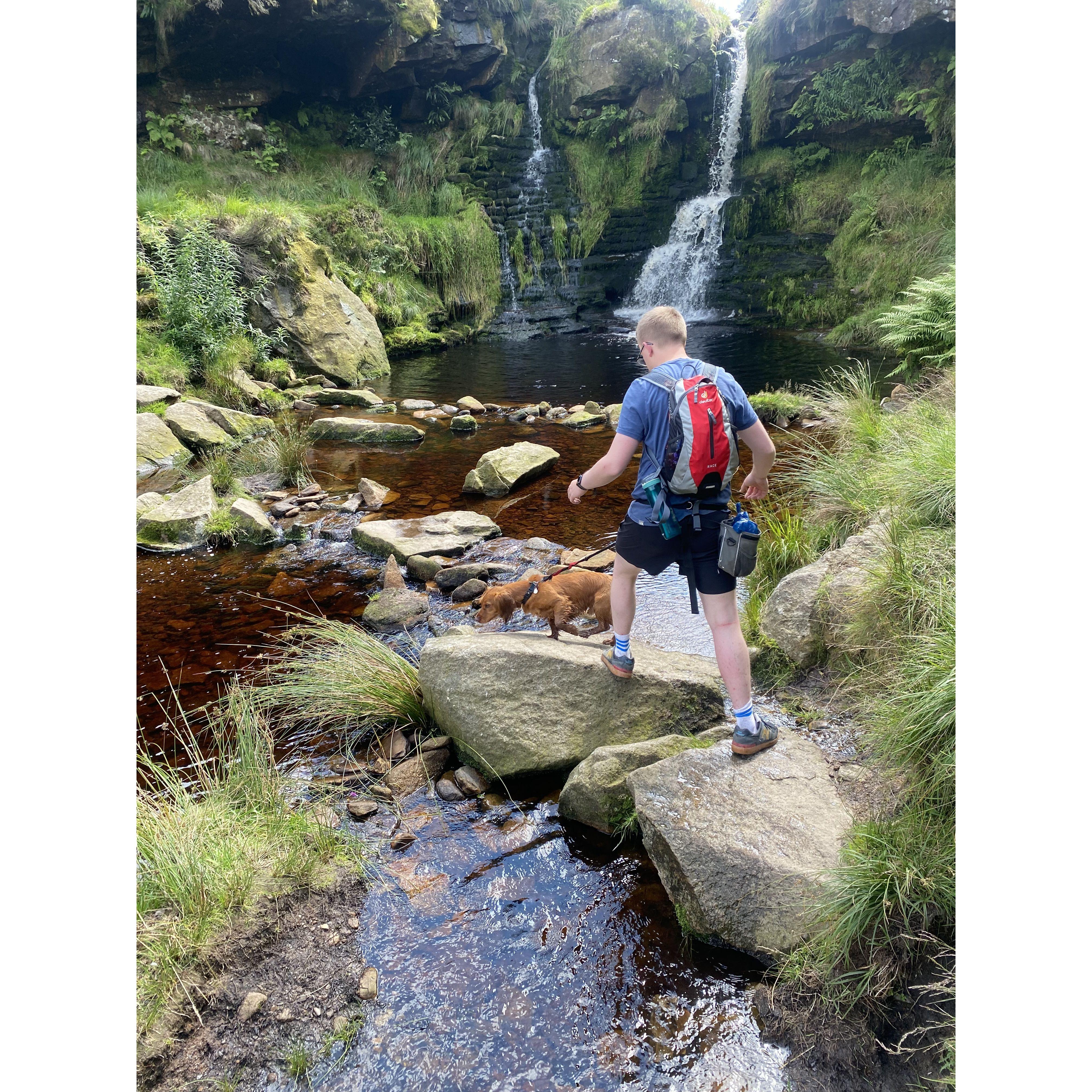 In the water they went