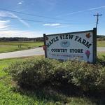 Maple View Farm Ice Cream