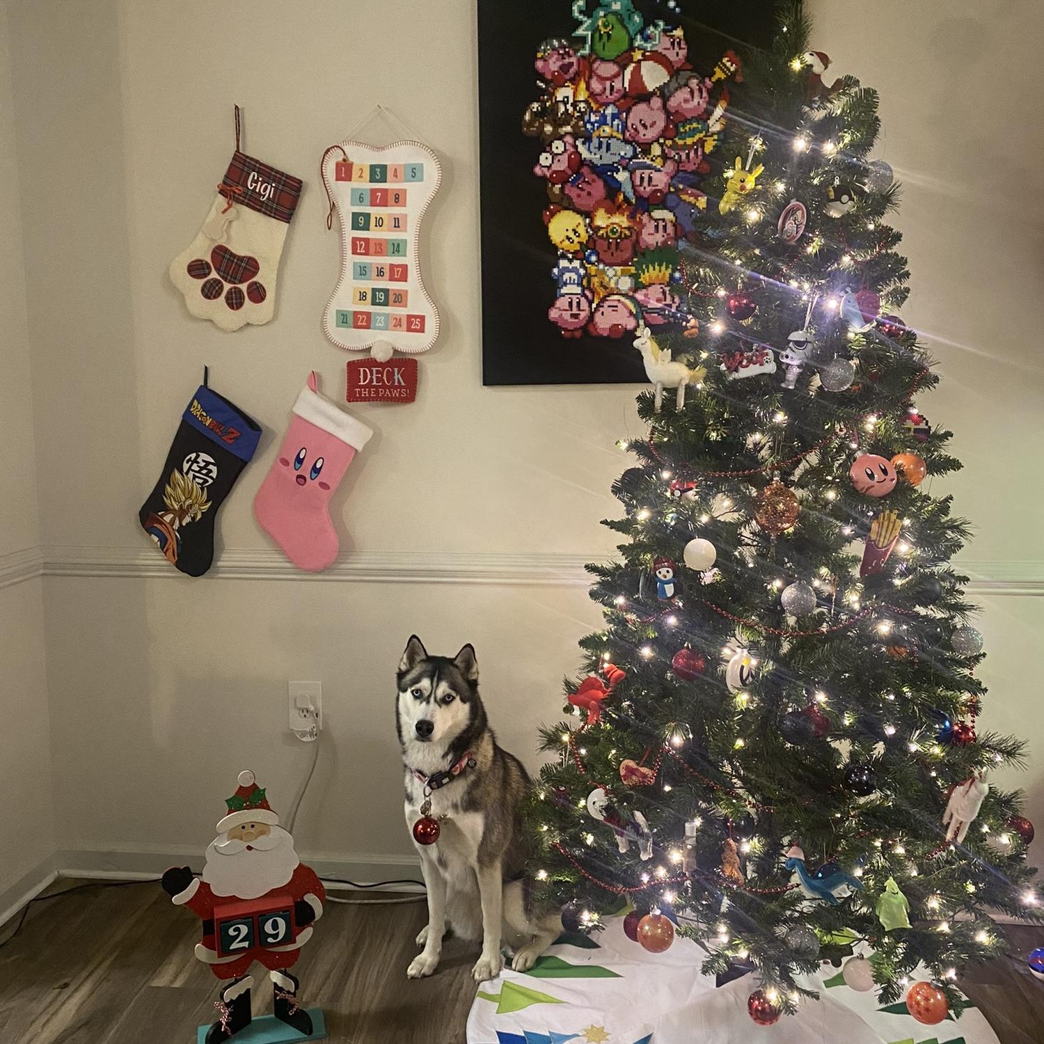 Our first Christmas together ❤️