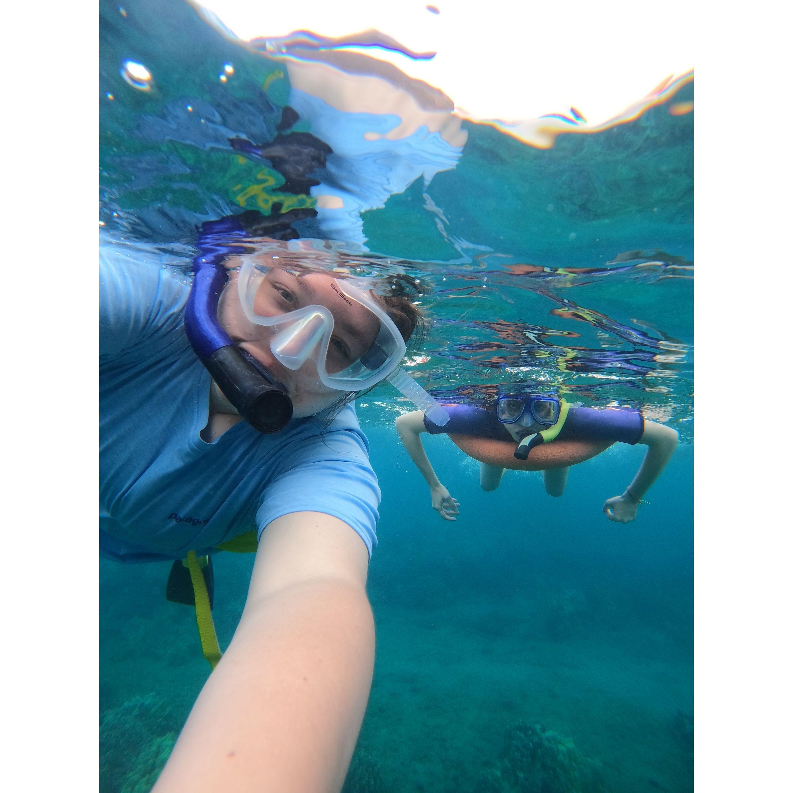 Snorkeling in Hawaii