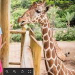 San Antonio Zoo