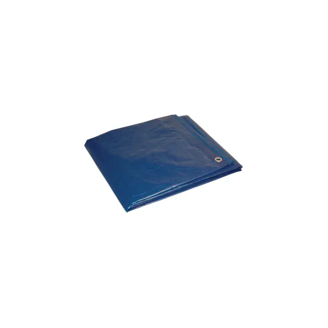Foremost Dry Top 9 ft. W X 12 ft. L Medium Duty Poly Tarp Blue