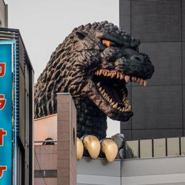 Godzilla Hotel (one night stay)