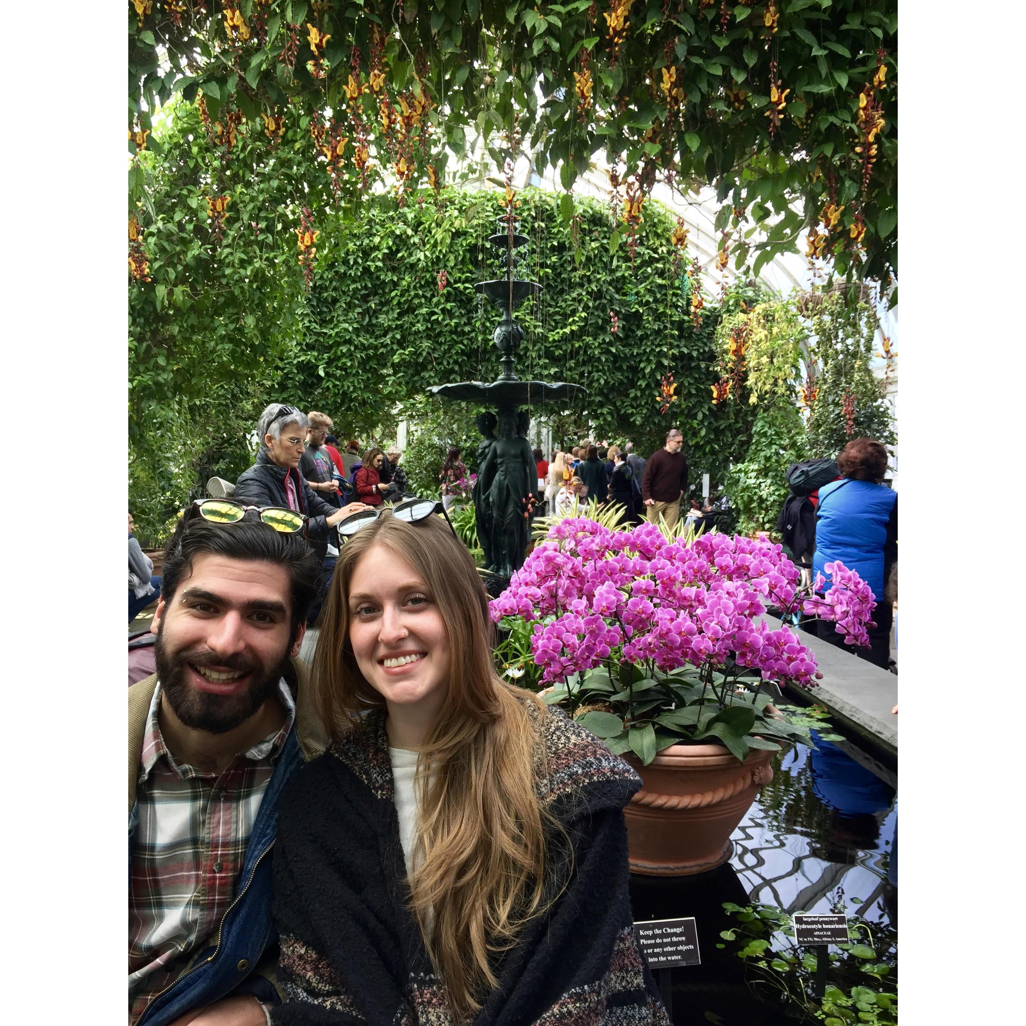 NYBG 2018