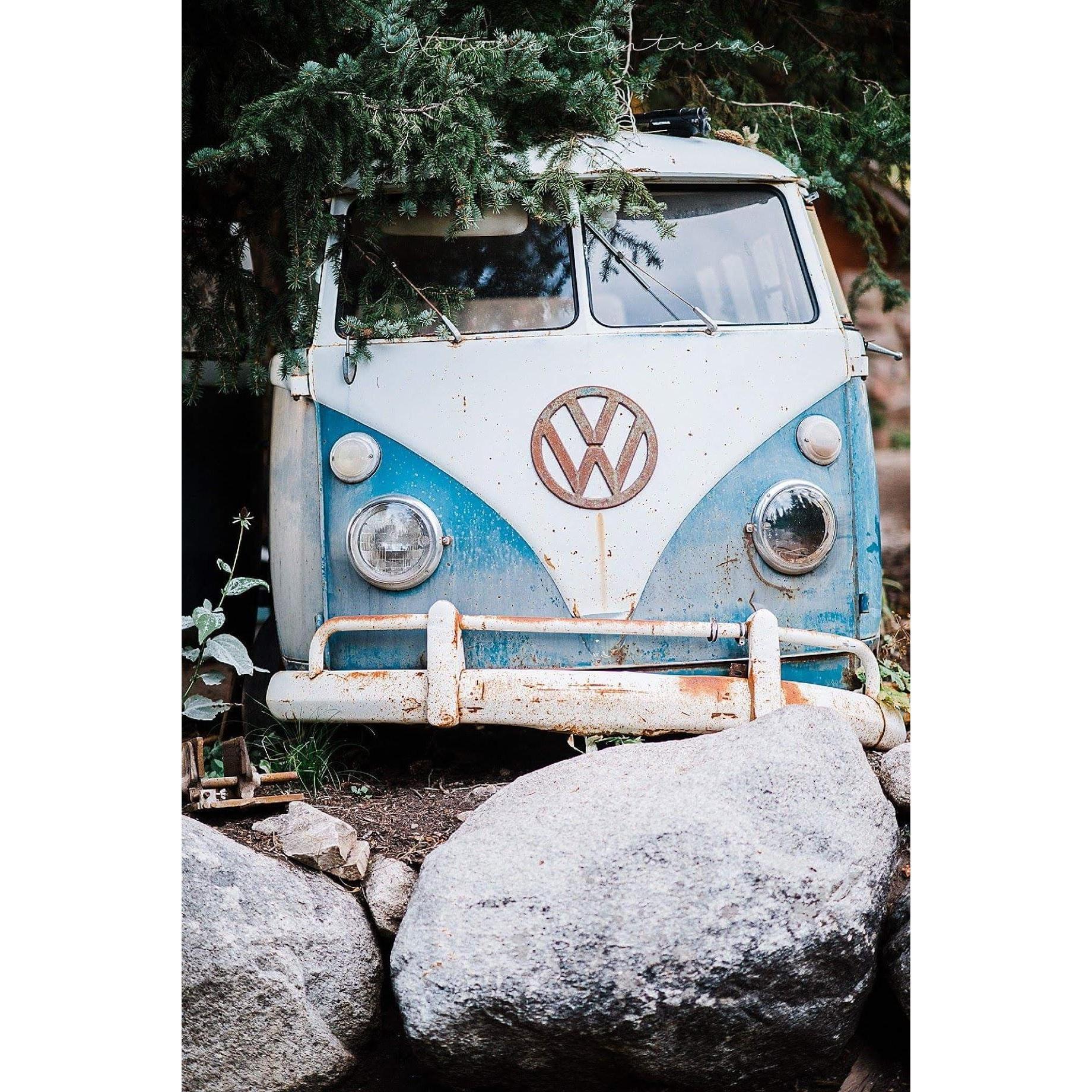 Bus at Scraggly Squirrel