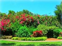 Sunken Gardens