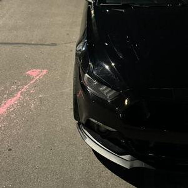 build my mustang