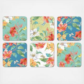 Maui Assorted Coaster, Set of 6