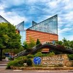Tennessee Aquarium
