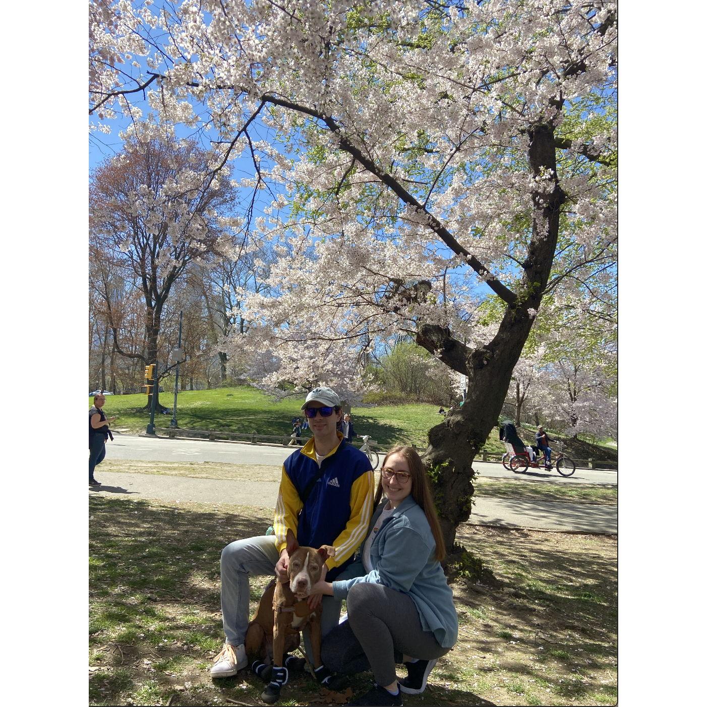 Family photo in Central Park
