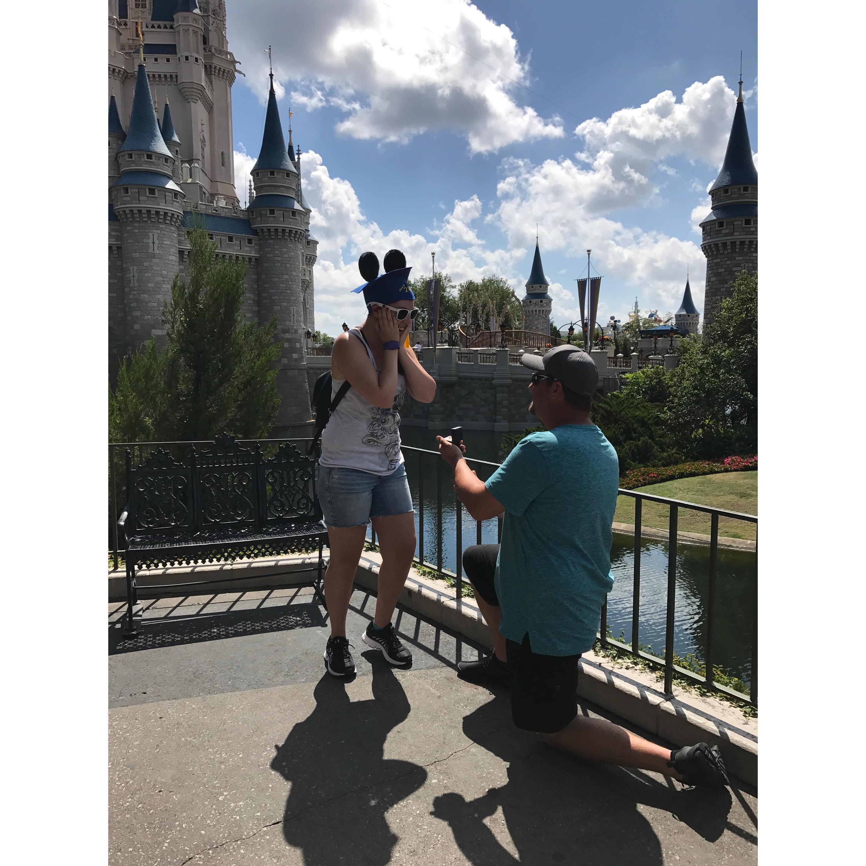 The moment Jake proposed