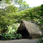 Waimea Valley