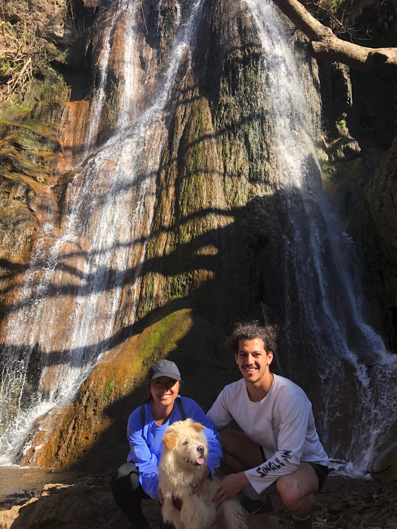 Fun fact: 1 of 2 pictures that exist of all three of them together. The other one is from the day they rescued Benji!