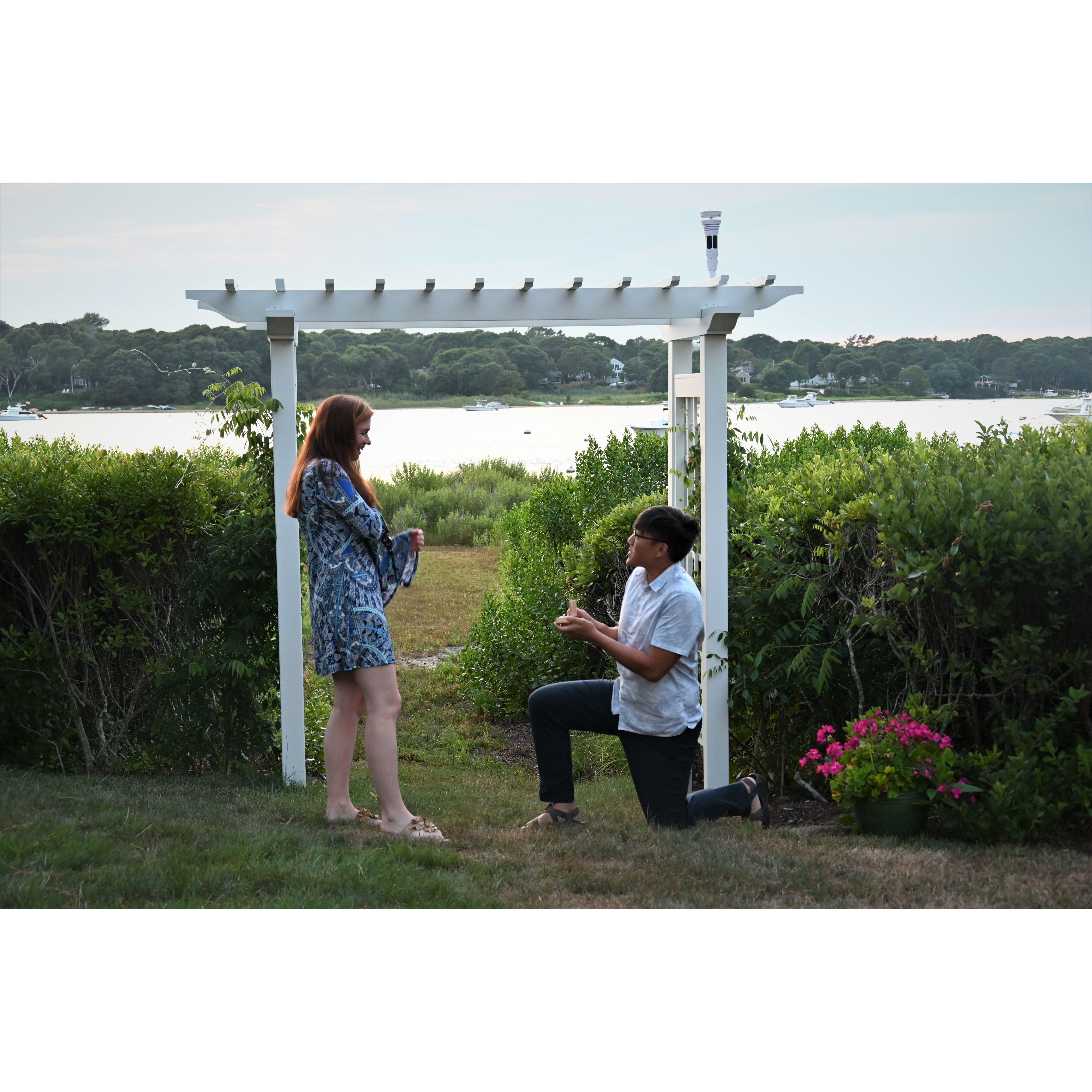 Danny proposing in Cape Cod, MA