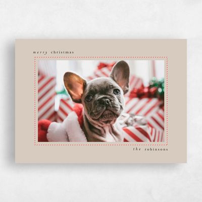 Canvas Tan, Beige Holiday Card - Frost Landscape